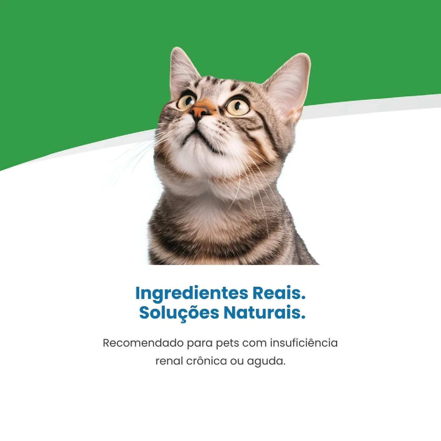 Racao Vet Life Natural Feline Renal 4